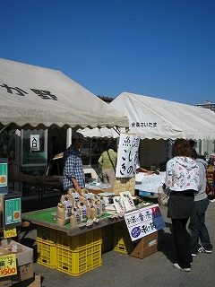 IMG_1661.jpg