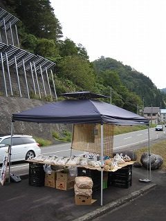 IMG_1662.jpg