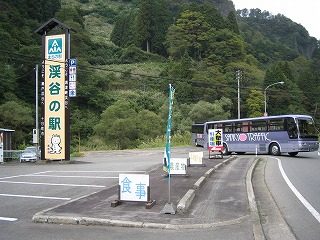 IMG_1664.jpg