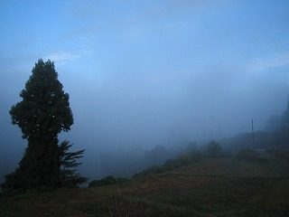 IMG_1671.jpg