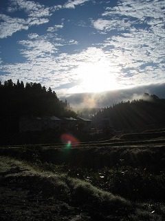 IMG_1672.jpg