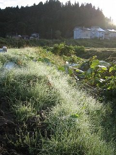 IMG_1673.jpg