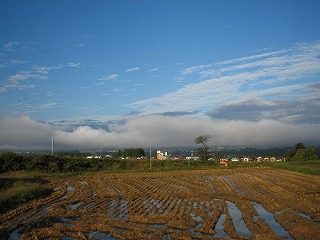 IMG_1674.jpg