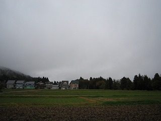 IMG_1681.jpg