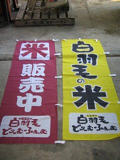 IMG_1682.jpg