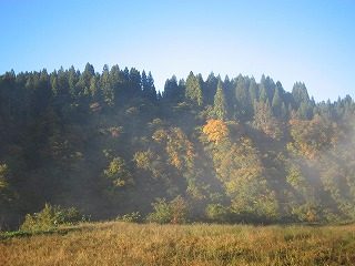 IMG_1691.jpg