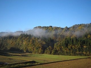 IMG_1694.jpg