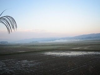 IMG_1700.jpg