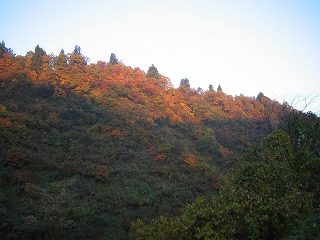 IMG_1702.jpg