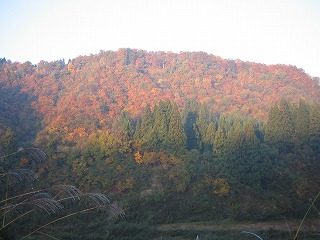 IMG_1704.jpg