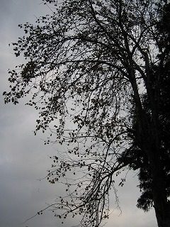 IMG_1744.jpg