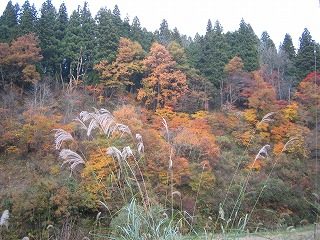 IMG_1746.jpg