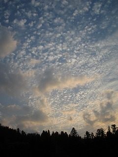 IMG_1748.jpg