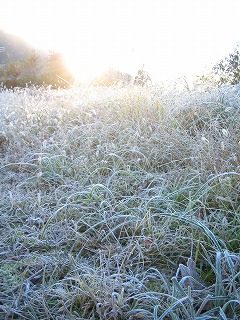 IMG_1753.jpg