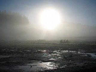 IMG_1754.jpg