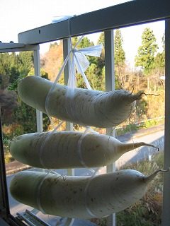 IMG_1756.jpg