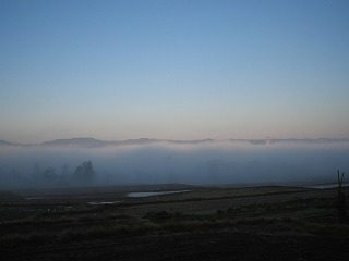 IMG_1772.jpg