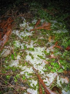 IMG_1773.jpg