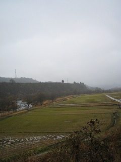 IMG_1775.jpg