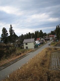 IMG_1777.jpg
