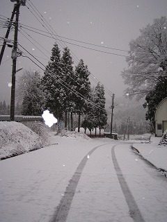 IMG_1778.jpg