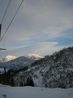 IMG_1789.jpg