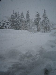 IMG_1790.jpg