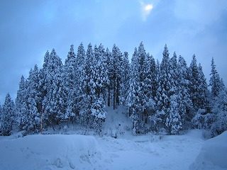 IMG_1792.jpg