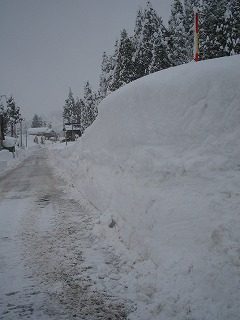 IMG_1796.jpg
