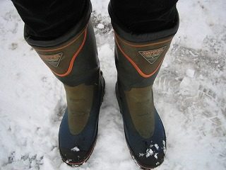 IMG_1799.jpg