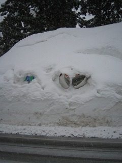 IMG_1809.jpg