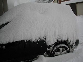 IMG_1810.jpg