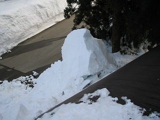 IMG_1811.jpg