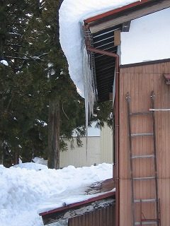 IMG_1813.jpg
