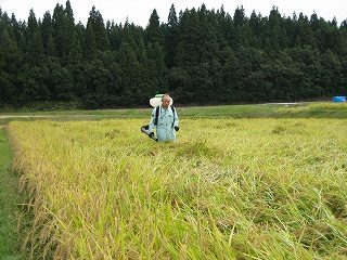 IMG_1826.jpg