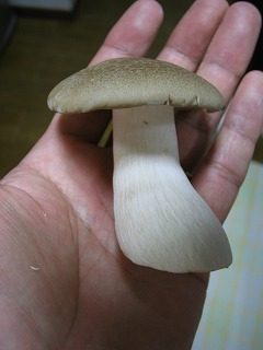 IMG_1831.jpg