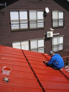 IMG_1847.jpg