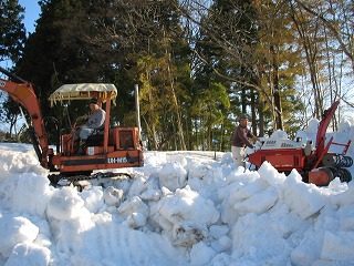 IMG_1860.jpg