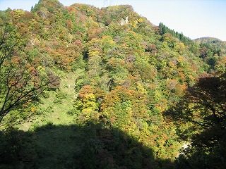 IMG_1865.jpg