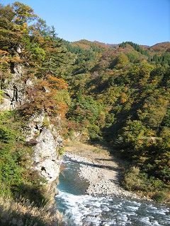 IMG_1868.jpg