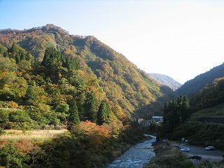 IMG_1869.jpg