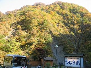 IMG_1870.jpg