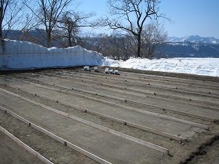 IMG_1884.jpg
