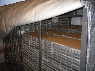 IMG_1894.jpg
