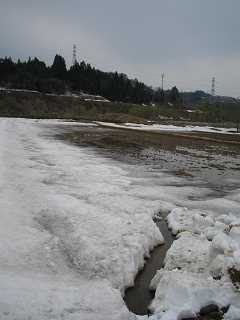 IMG_1905.jpg