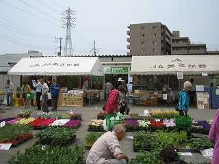 IMG_1910.jpg