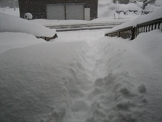 IMG_1925.jpg