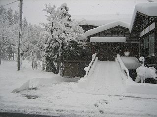 IMG_1926.jpg