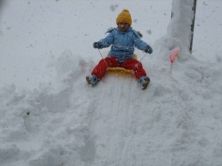 IMG_1928.jpg