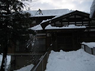 IMG_1934.jpg